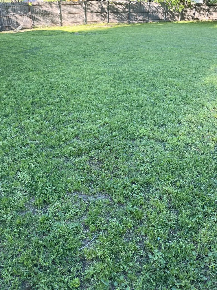 Expert outdoor landscaping for outdoor upgrades across Dallas, TX - Garden and Landscaping Services