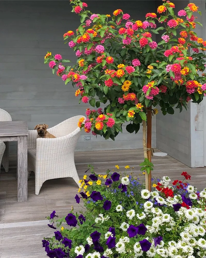 Affordable lawn care service experts serving Water Mill, NY - Garden Angels