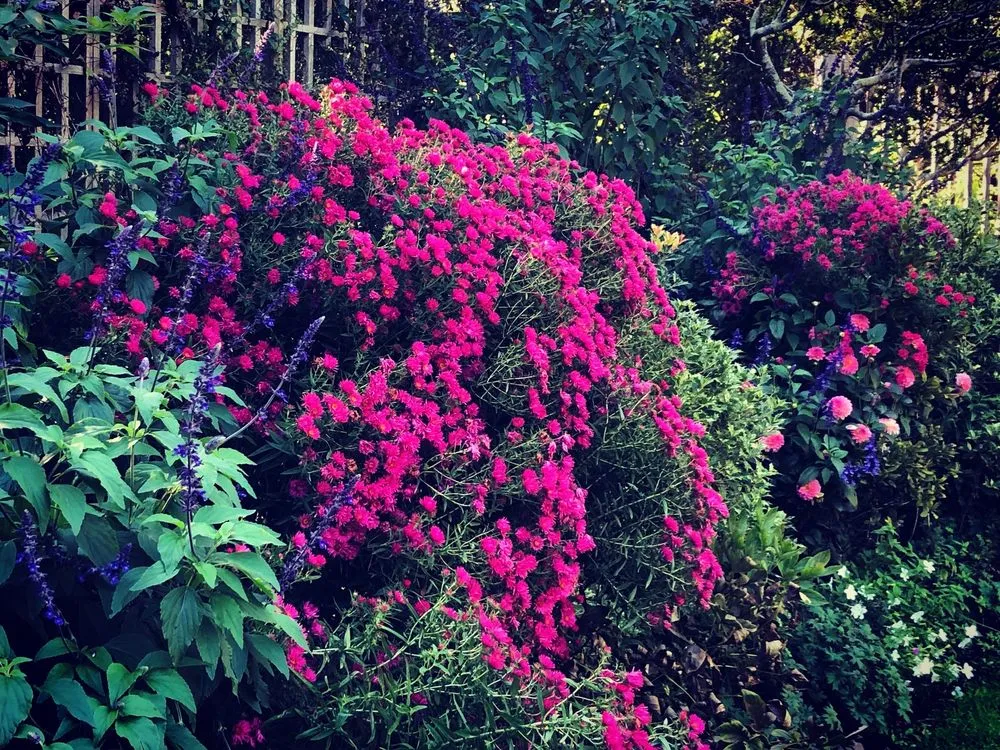 Reliable yard cleanup service in Water Mill, NY - Garden Angels