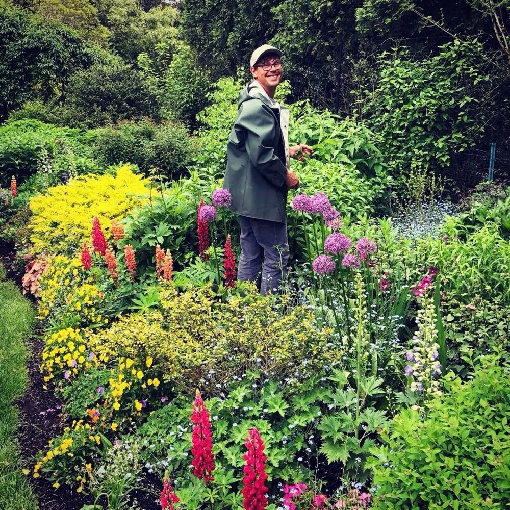 Expert yard maintenance in Water Mill, NY - Garden Angels