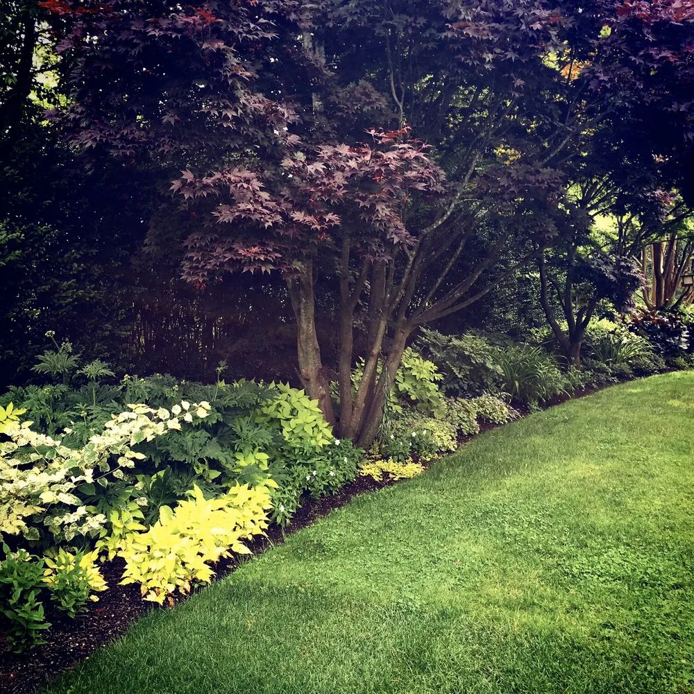 Top-rated outdoor landscaping experts serving Water Mill, NY - Garden Angels