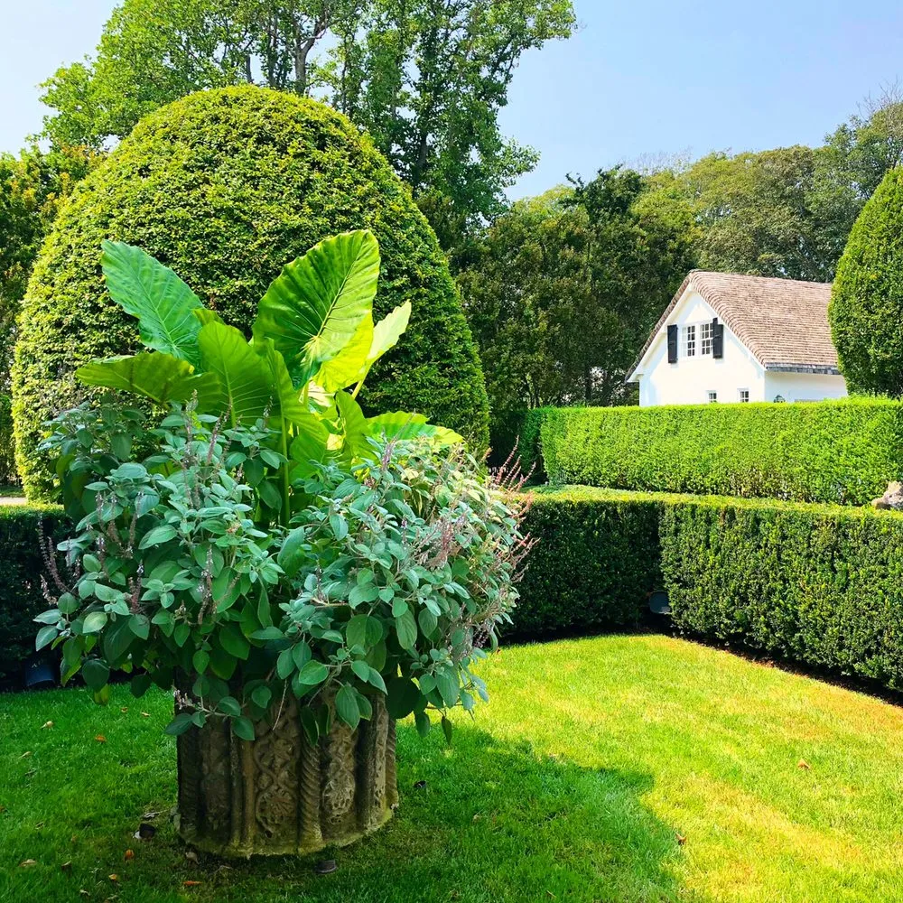 Expert landscaping services in Water Mill, NY by Garden Angels