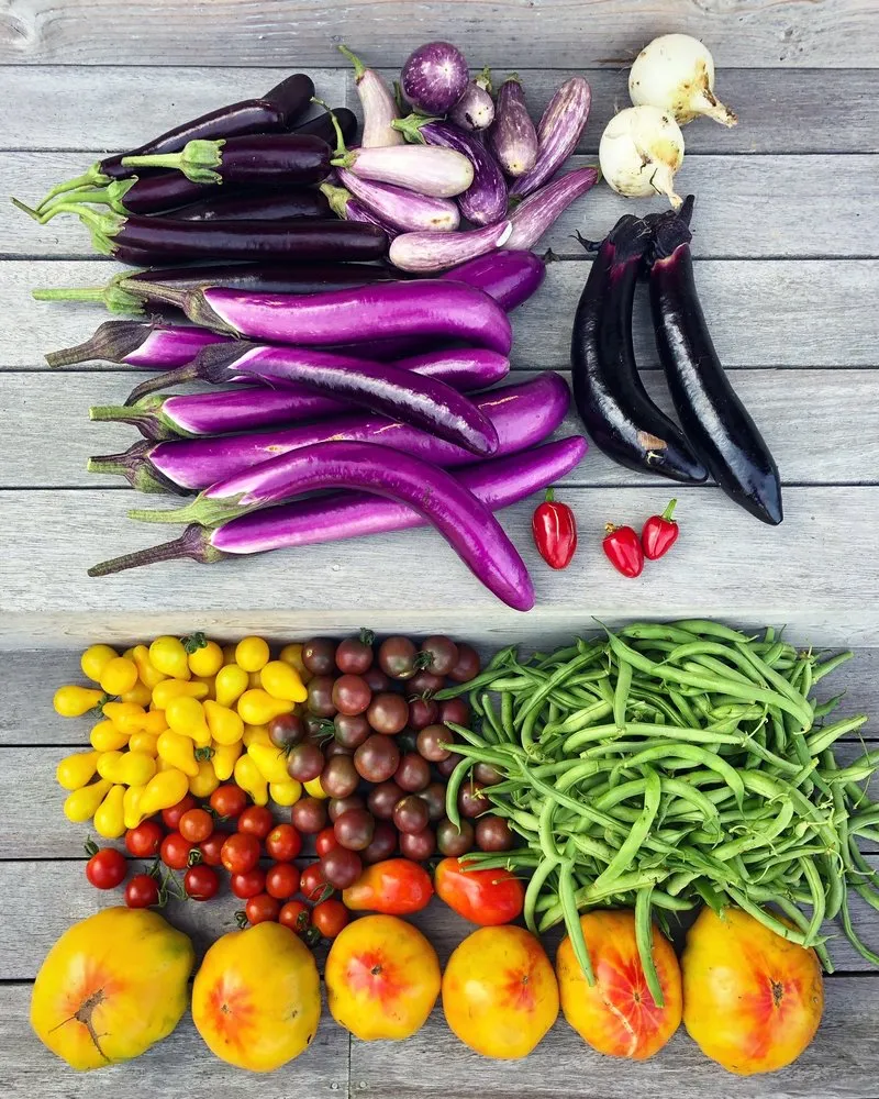 Trusted lawn care service experts serving Water Mill, NY - Garden Angels