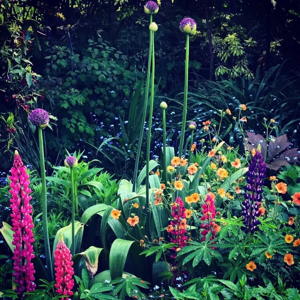 Expert yard cleanup service experts serving Water Mill, NY - Garden Angels