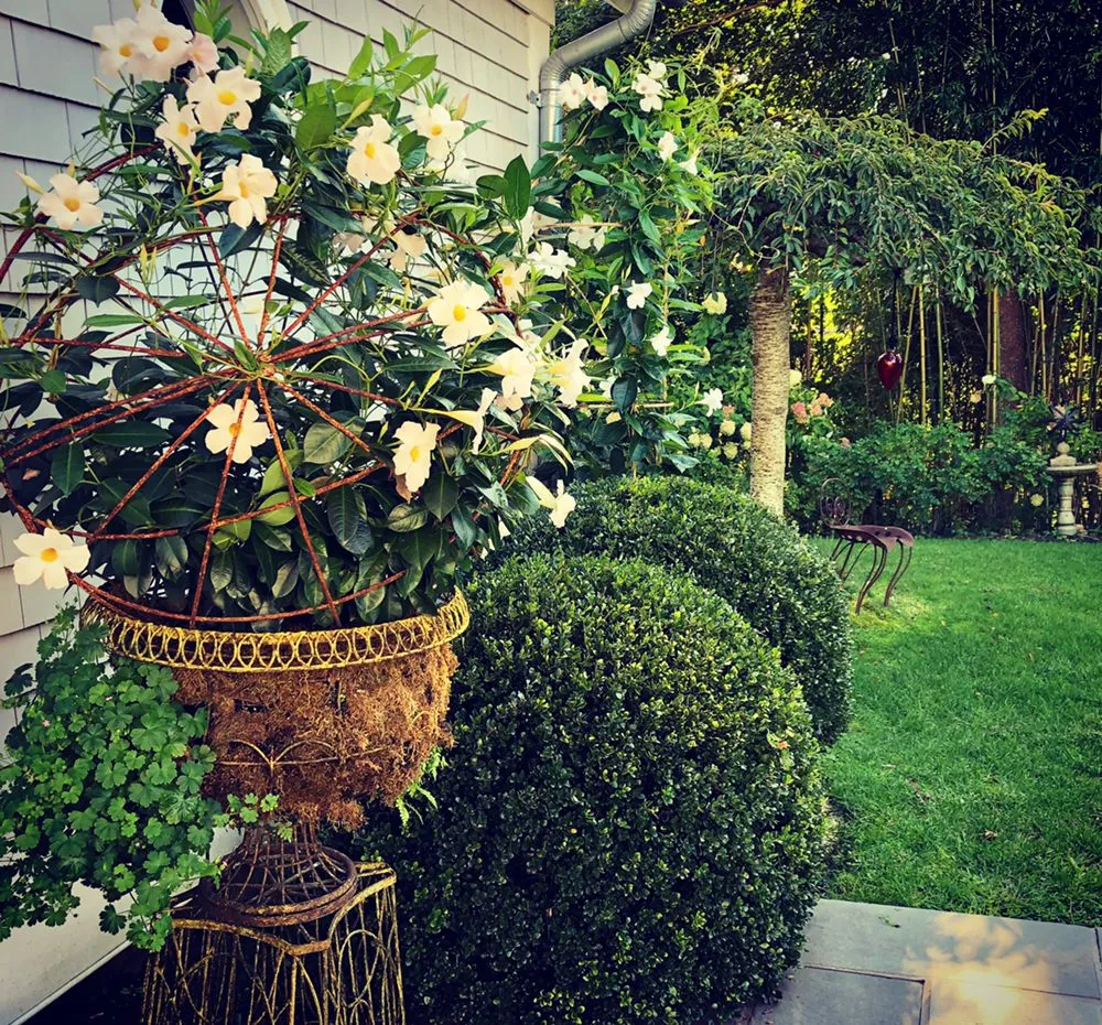 Reliable outdoor landscaping in Water Mill, NY - Garden Angels