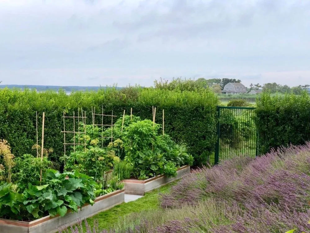 Professional outdoor landscaping for outdoor upgrades across Water Mill, NY - Garden Angels