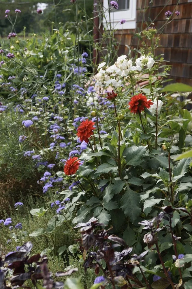 Professional yard cleanup service for beautiful yards across Water Mill, NY - Garden Angels