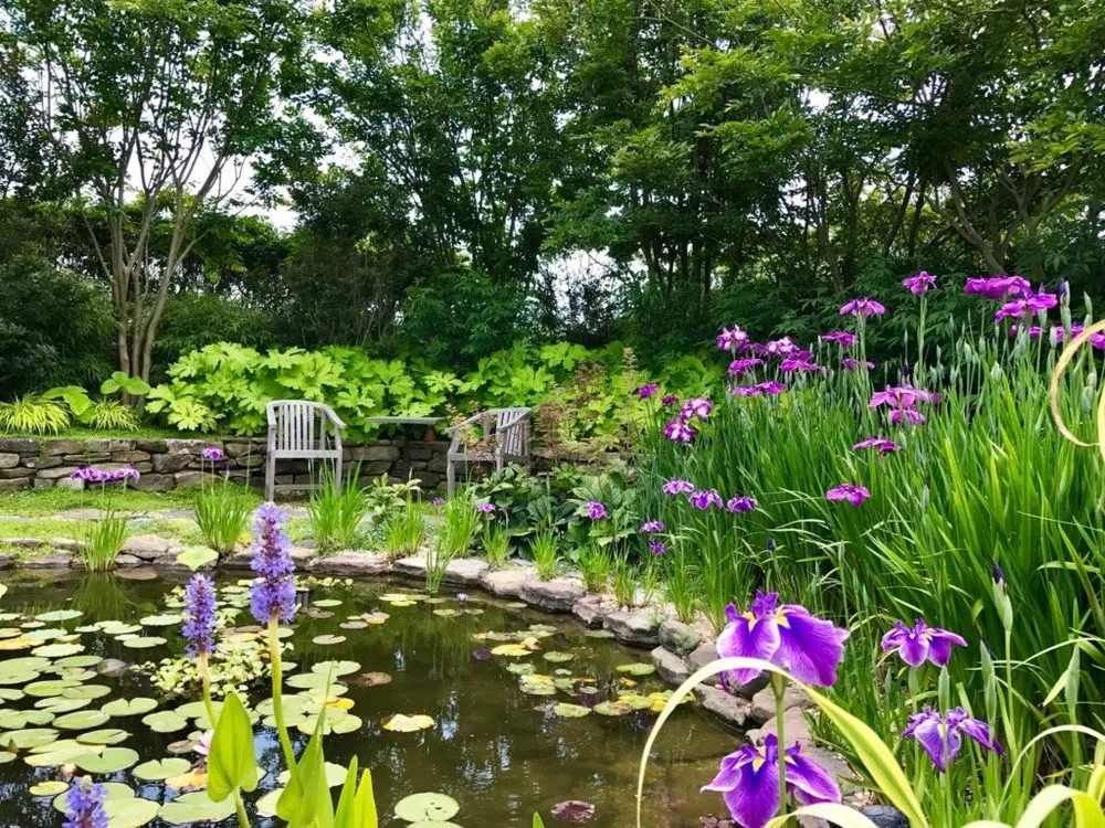 Local lawn mowing service for outdoor upgrades in Water Mill, NY by Garden Angels