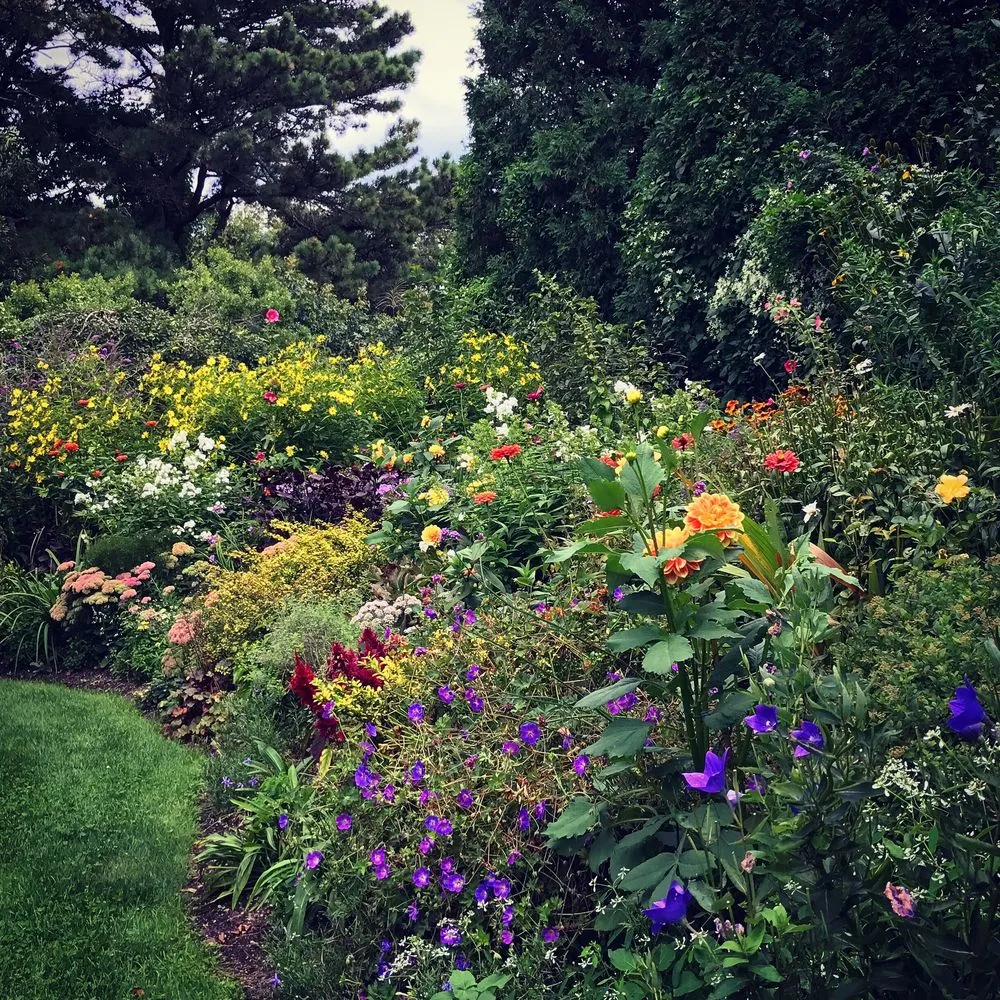 Trusted yard cleanup service near you across Water Mill, NY - Garden Angels