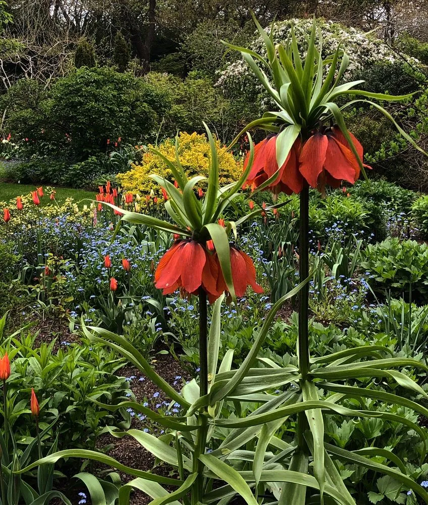 Local outdoor landscaping for year-round maintenance in Water Mill, NY by Garden Angels