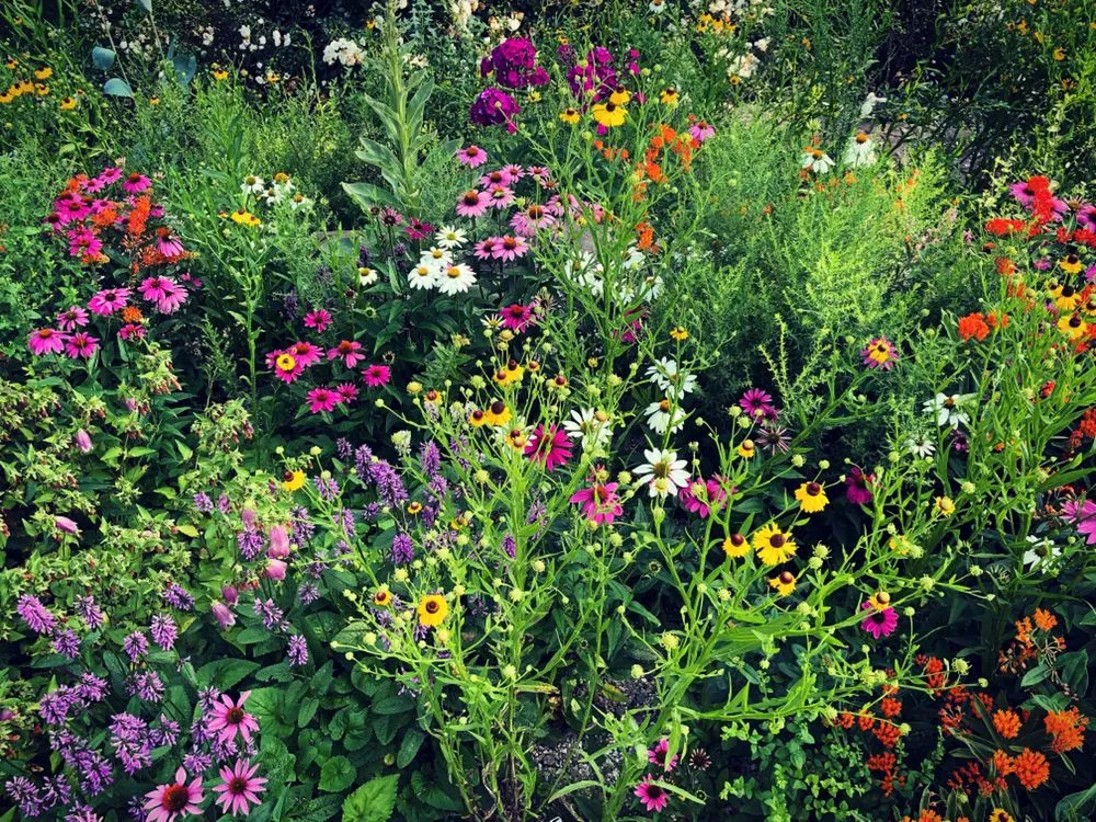 Expert lawn care service in Water Mill, NY by Garden Angels