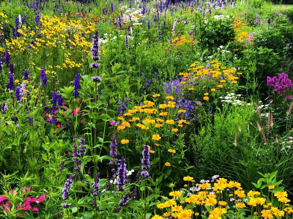 Expert residential landscaping for beautiful yards in Water Mill, NY by Garden Angels