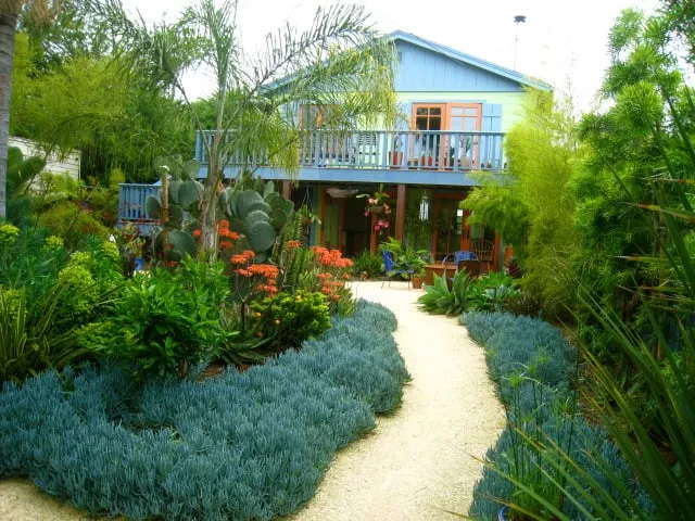 Local yard cleanup service experts serving Berkeley, CA - Garden Architecture