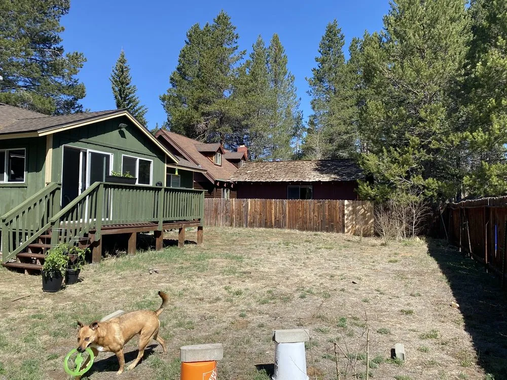 Expert yard cleanup service in South Lake Tahoe, CA - Garden Art Landscape & Design