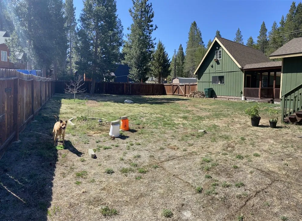 Trusted yard cleanup service in South Lake Tahoe, CA - Garden Art Landscape & Design