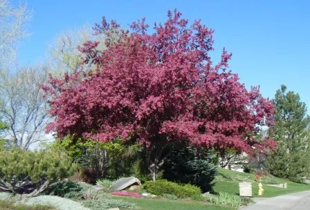 Reliable garden landscaping for residential properties in Fort Collins, CO by Garden Art Landscaping