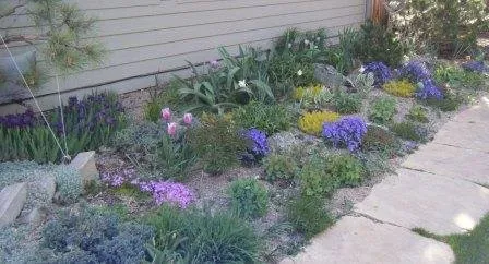 Expert outdoor landscaping for outdoor upgrades in Fort Collins, CO by Garden Art Landscaping