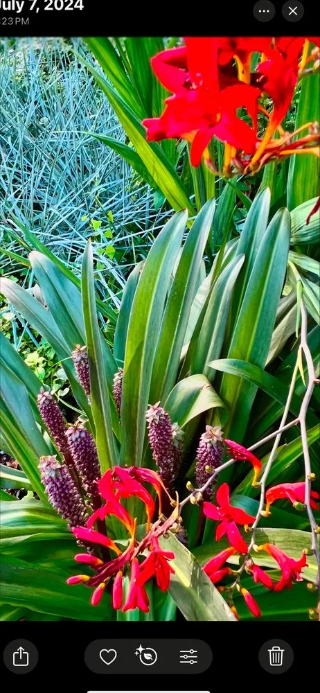 Custom yard maintenance with custom design across East Windsor, NJ - Garden Artisans