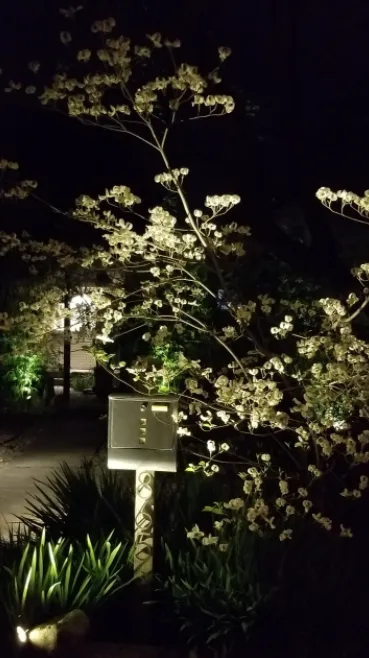 Custom lawn care service experts serving Redding, CA - Garden Authority