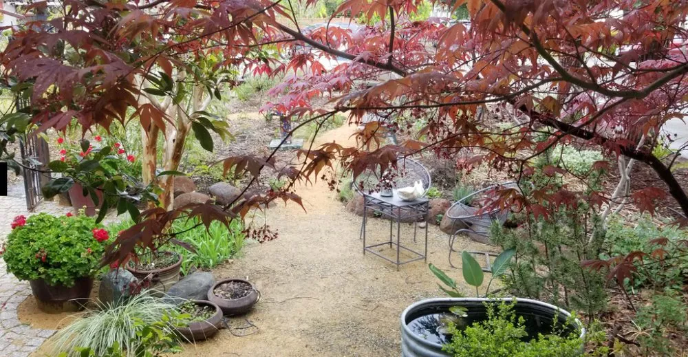 Affordable residential landscaping in Redding, CA by Garden Authority