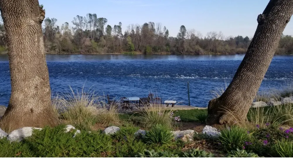 Professional yard maintenance for outdoor upgrades across Redding, CA - Garden Authority