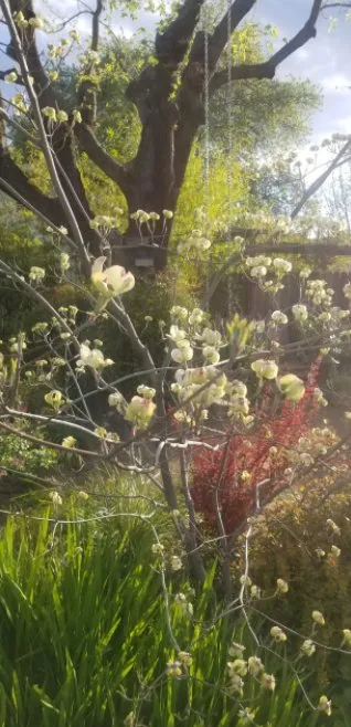 Local garden landscaping in Redding, CA - Garden Authority