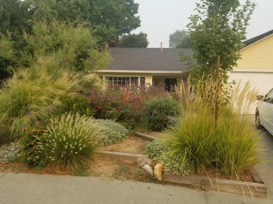 Expert yard cleanup service near you across Redding, CA - Garden Authority