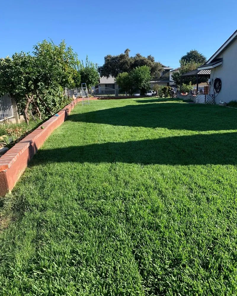 Professional garden landscaping for homes across Pomona, CA - Garden Awakenings