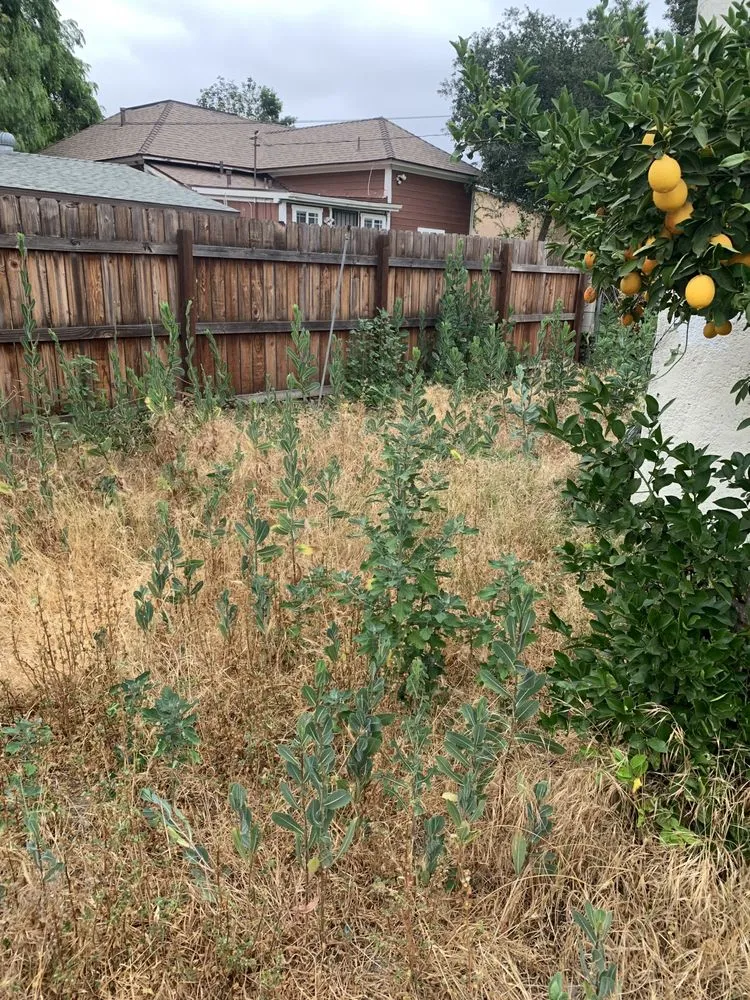 Custom lawn mowing service experts serving Pomona, CA - Garden Awakenings