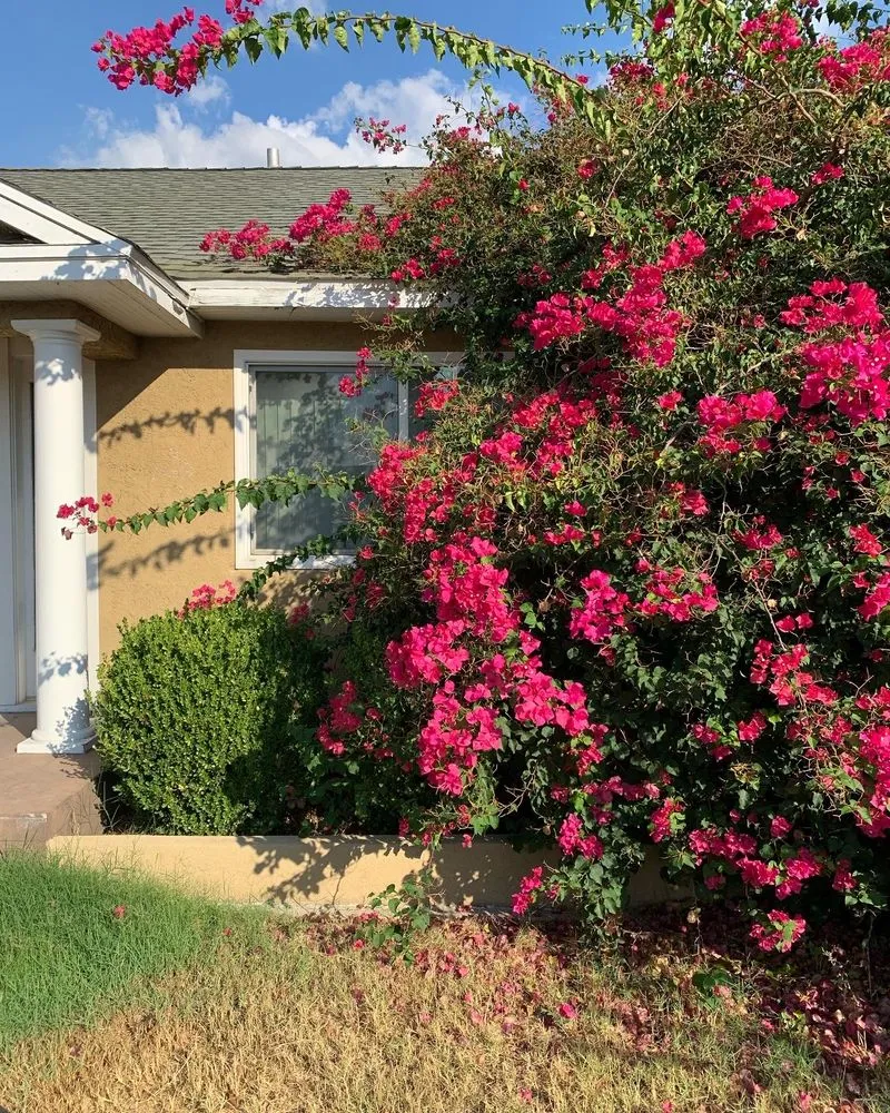 Local landscaping services in Pomona, CA by Garden Awakenings