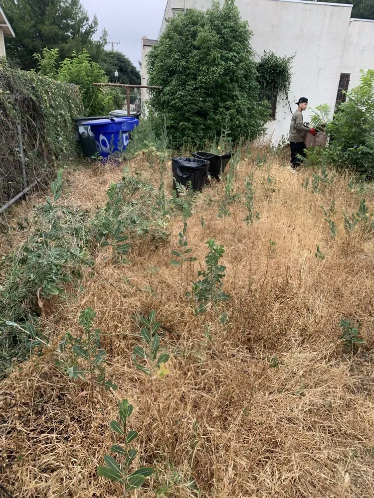 Top-rated garden landscaping in Pomona, CA by Garden Awakenings