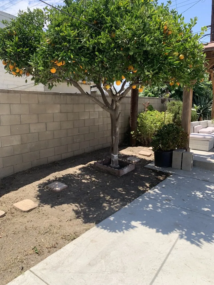 Local yard maintenance experts serving Pomona, CA - Garden Awakenings