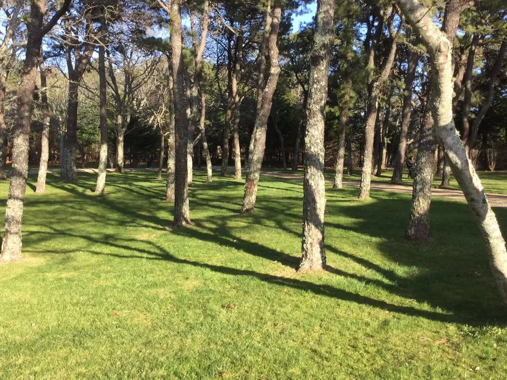 Expert landscaping services in Tisbury, MA - Garden Beautifiers Landscaping