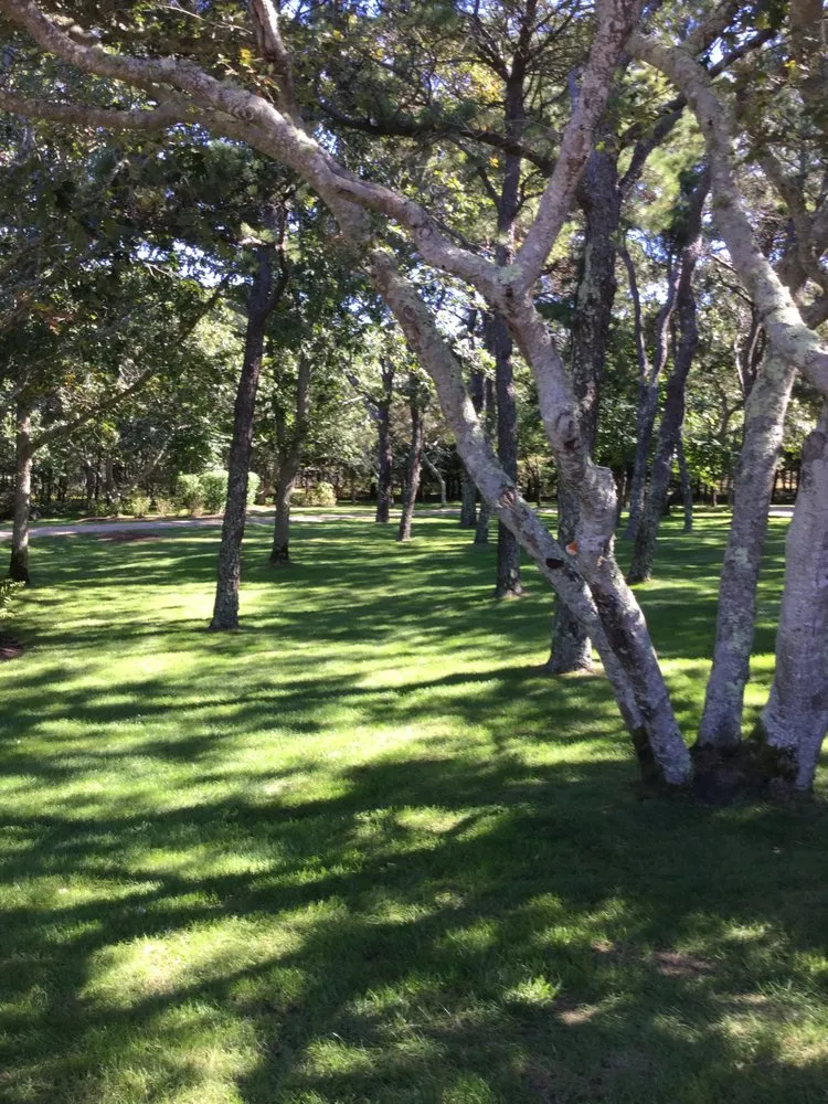 Expert landscaping services for beautiful yards in Tisbury, MA by Garden Beautifiers Landscaping