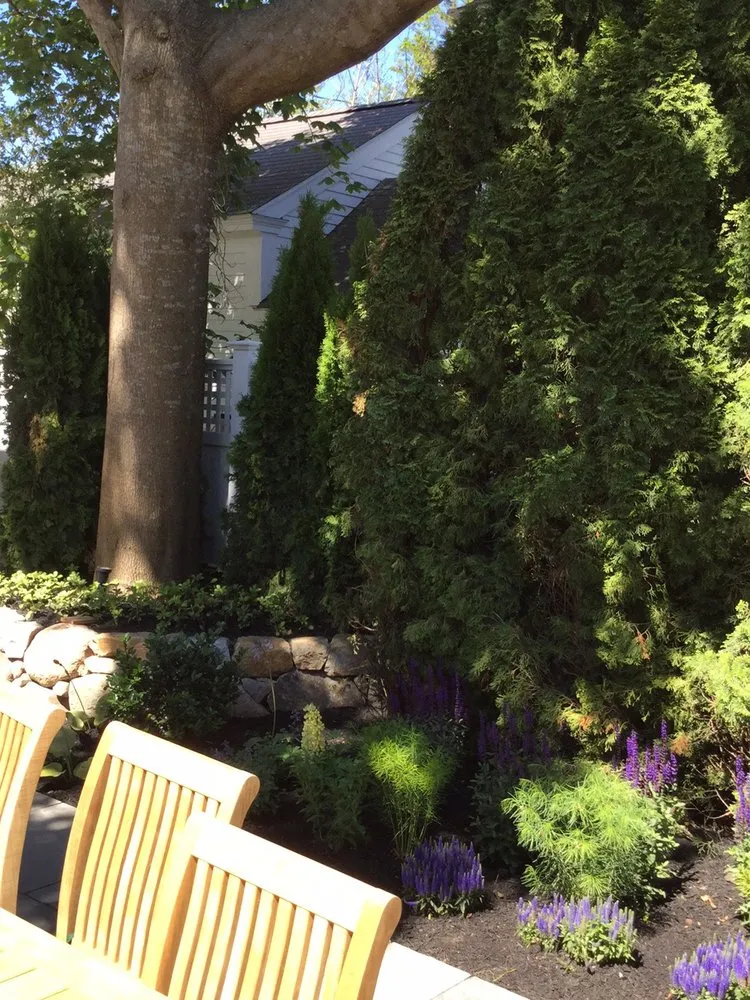 Professional yard maintenance in Tisbury, MA by Garden Beautifiers Landscaping