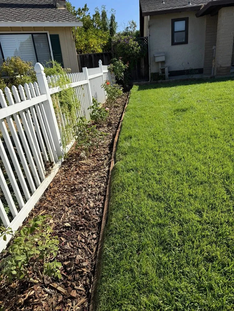Reliable landscaping services in San Jose, CA by Garden Bros Landscape Services