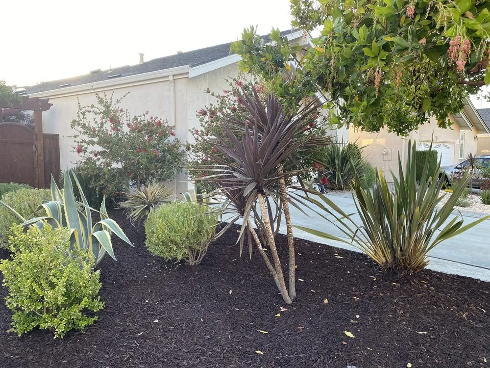 Local lawn care service for outdoor upgrades in San Jose, CA by Garden Bros Landscape Services