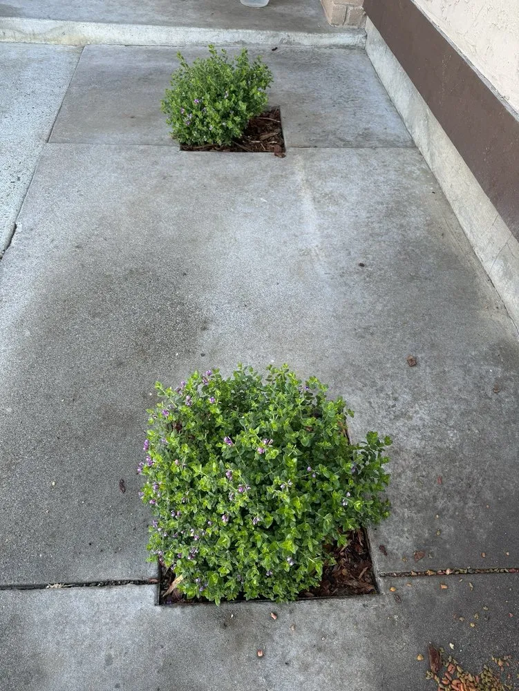 Expert residential landscaping experts serving San Jose, CA - Garden Bros Landscape Services