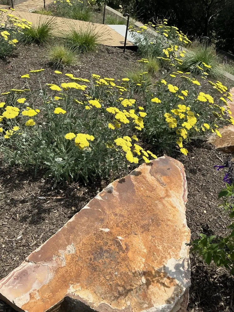 Professional yard maintenance experts serving Novato, CA - Garden Care and Maintenance Jony Gonzalez