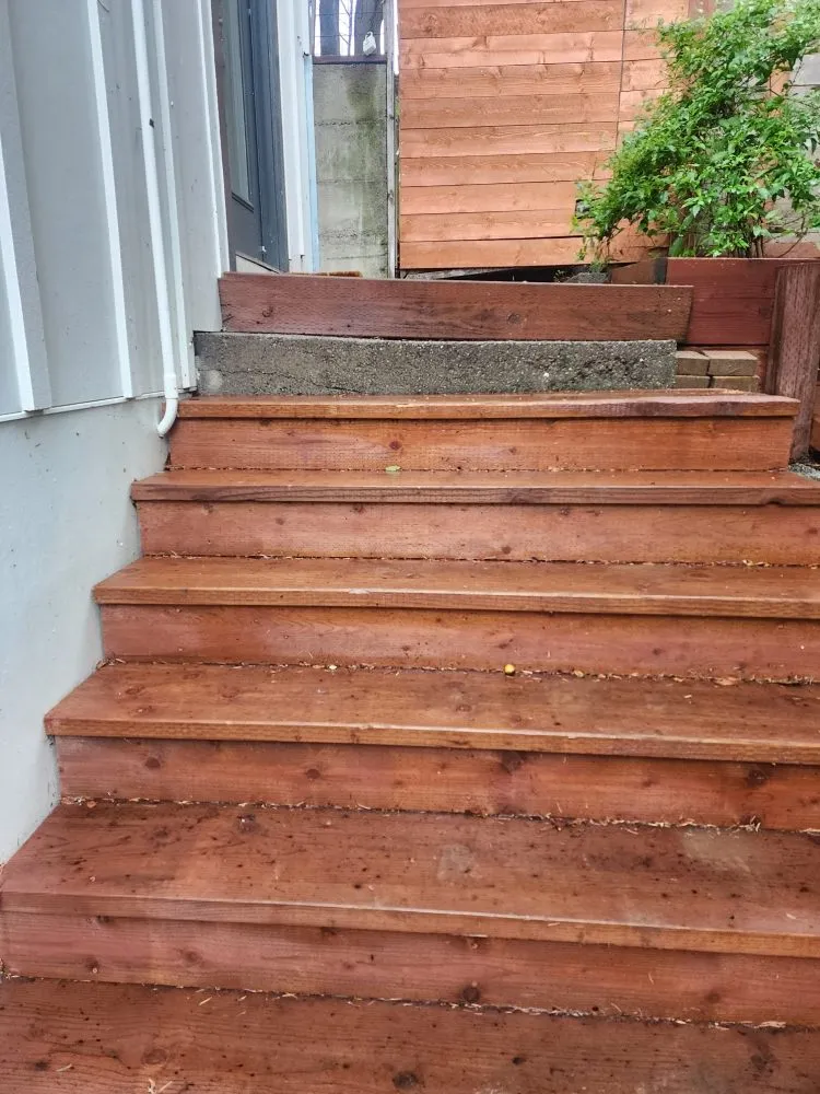 Trusted landscape design with custom design in Novato, CA by Garden Care and Maintenance Jony Gonzalez