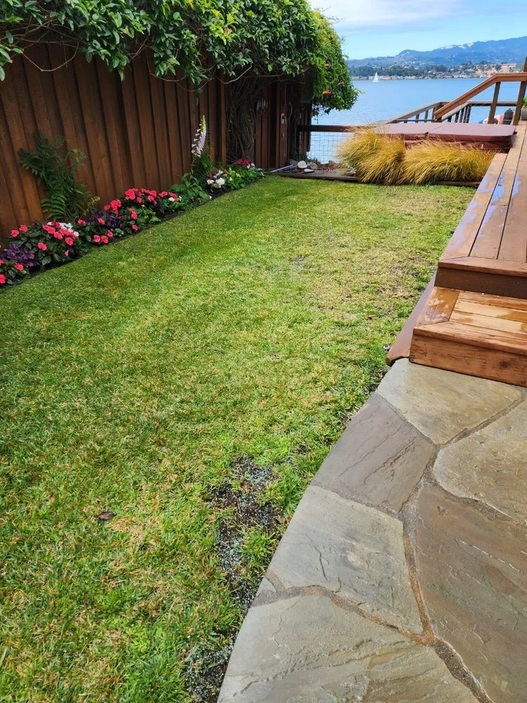 Trusted yard cleanup service for homes in Novato, CA by Garden Care and Maintenance Jony Gonzalez