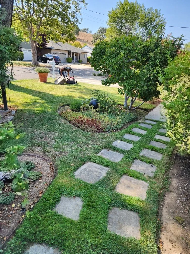 Trusted lawn mowing service with custom design across Novato, CA - Garden Care and Maintenance Jony Gonzalez