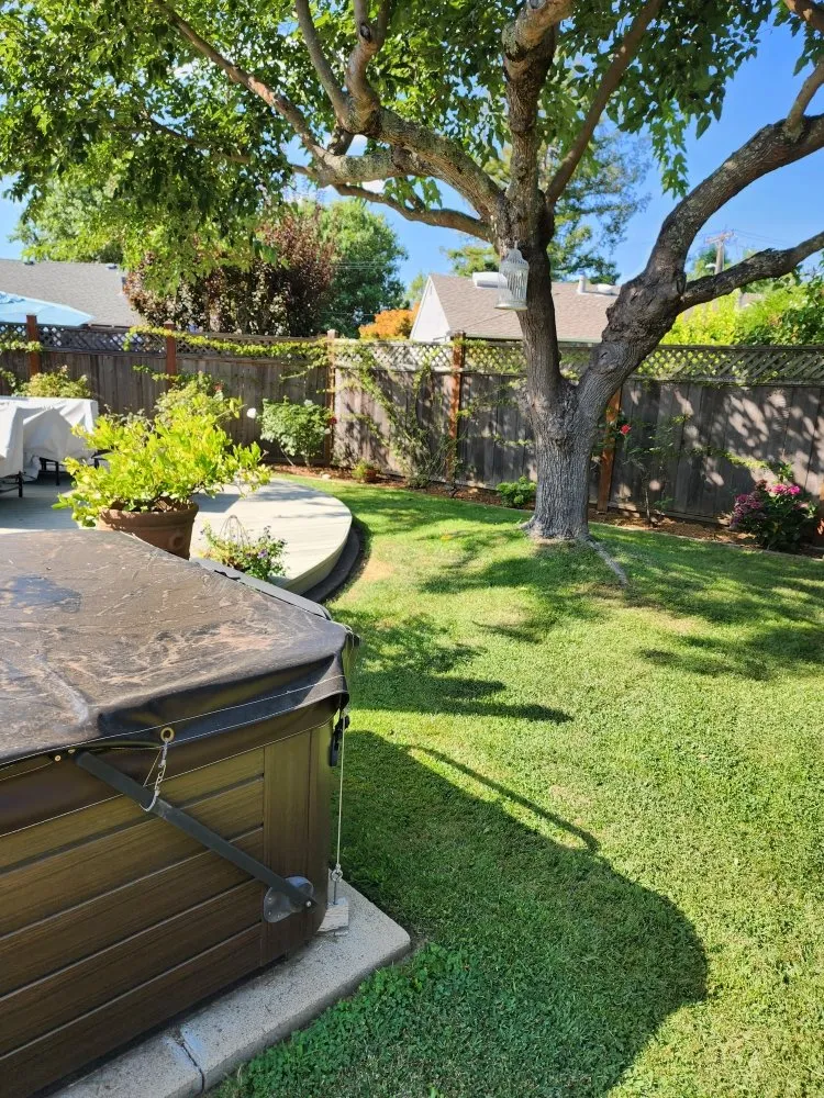 Affordable outdoor landscaping for beautiful yards in Novato, CA by Garden Care and Maintenance Jony Gonzalez