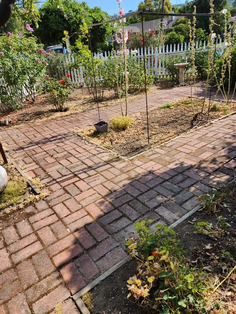 Professional residential landscaping in Novato, CA - Garden Care and Maintenance Jony Gonzalez