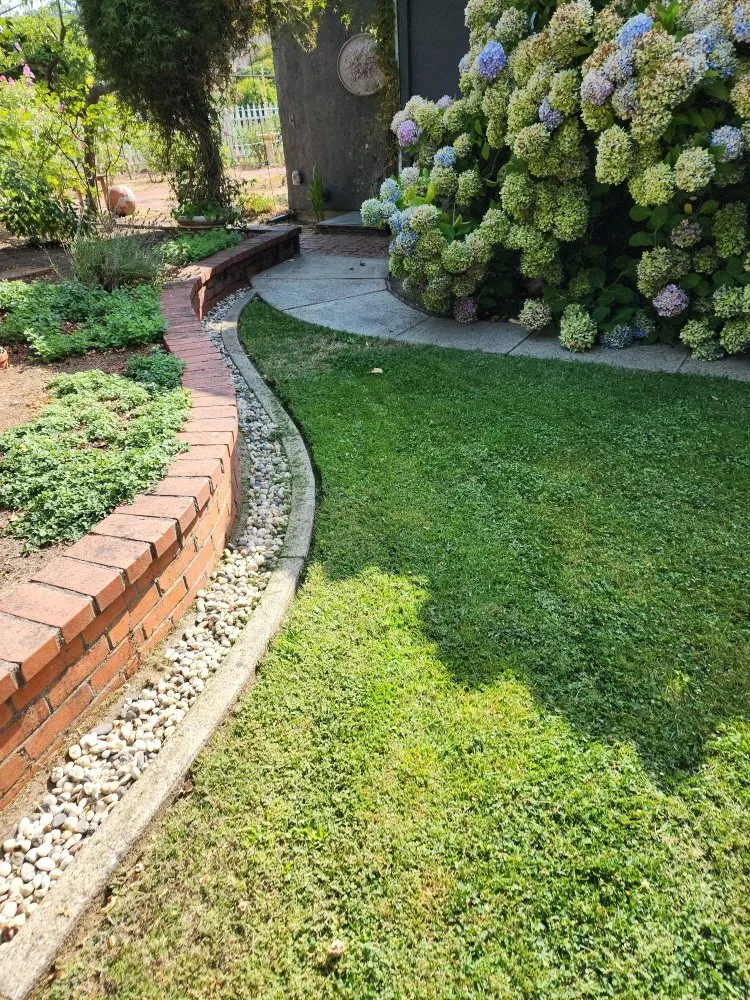 Affordable landscape installation in Novato, CA - Garden Care and Maintenance Jony Gonzalez