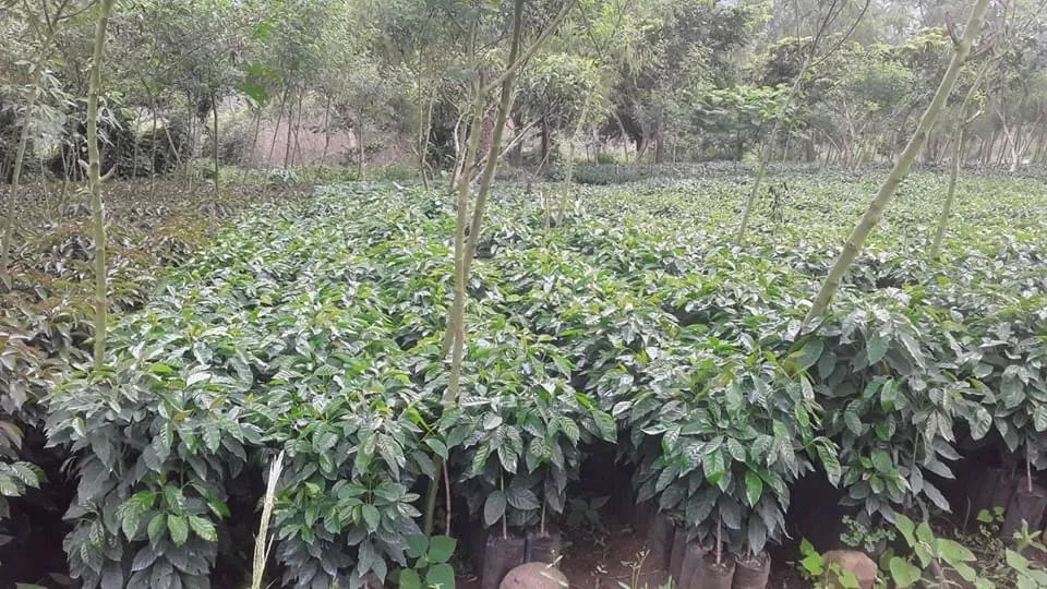 Trusted landscape installation for outdoor upgrades across Novato, CA - Garden Care and Maintenance Jony Gonzalez