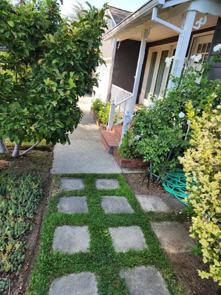 Affordable lawn care service in Novato, CA by Garden Care and Maintenance Jony Gonzalez