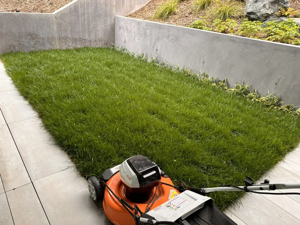 Custom garden landscaping experts serving Novato, CA - Garden Care and Maintenance Jony Gonzalez