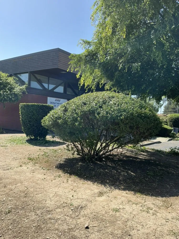 Reliable lawn mowing service in Novato, CA by Garden Care and Maintenance Jony Gonzalez