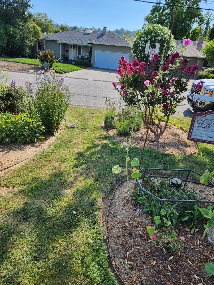 Reliable yard maintenance near you across Novato, CA - Garden Care and Maintenance Jony Gonzalez